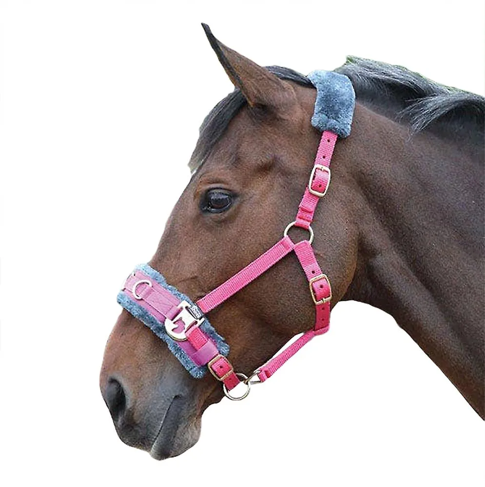 Shires Economy Fleece Lined Lunge Cavesson